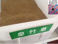 買(mǎi)皇竹草多少錢(qián)一斤合算？