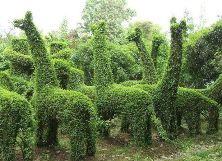 1648607429658071.png 1648607429658071.png