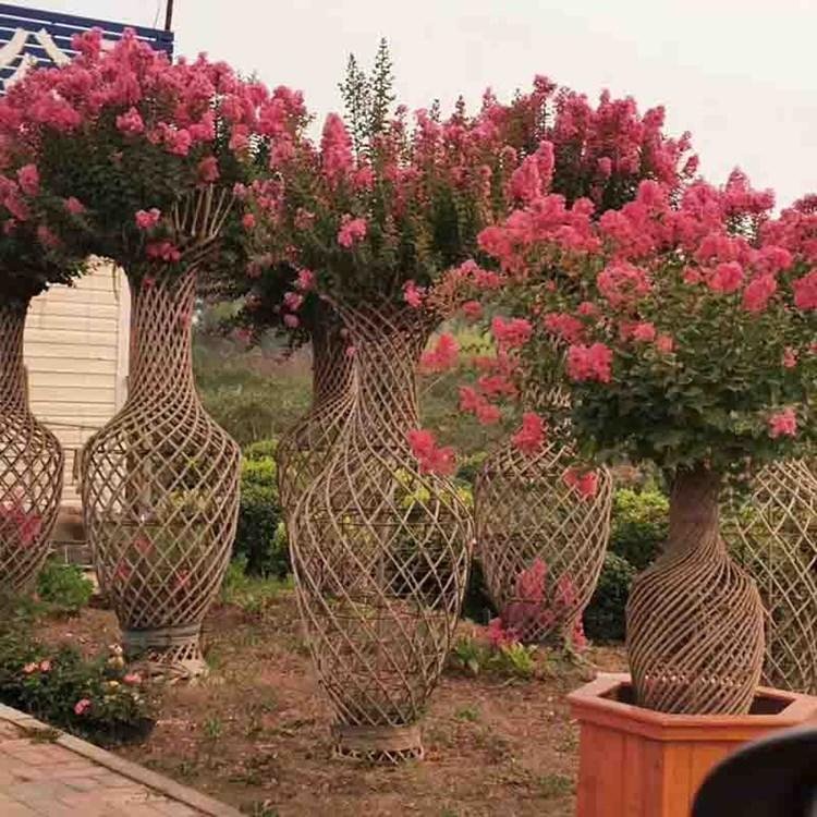 1648609793611439.jpg 1648609793611439.jpg