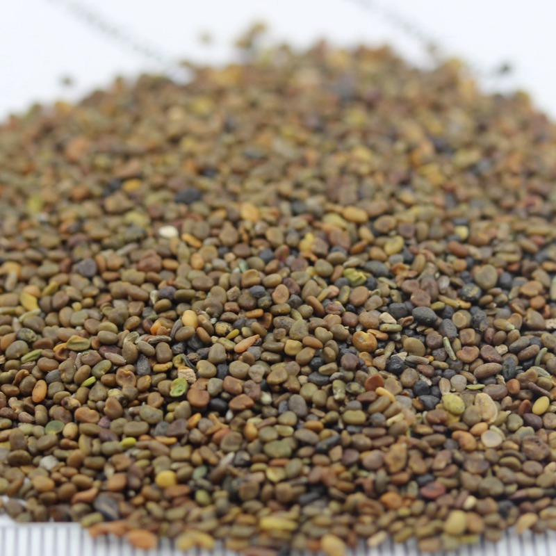 1654494577323633.jpg 1654494577323633.jpg